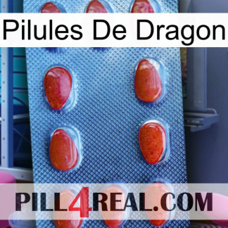 Dragon Pills 06